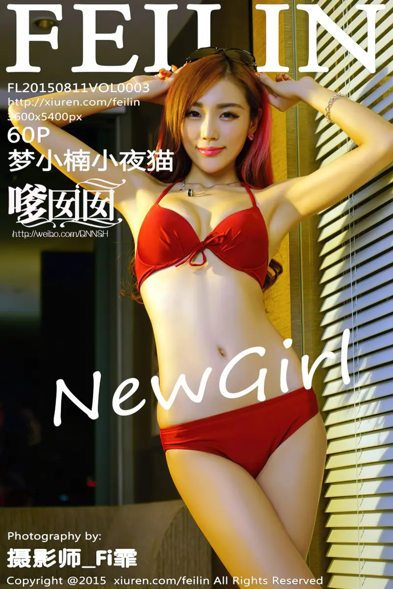 [FeiLin嗲囡囡] Vol.003 嫩模梦小楠小夜猫内衣系列完美身材火焰红唇写真-就是免费